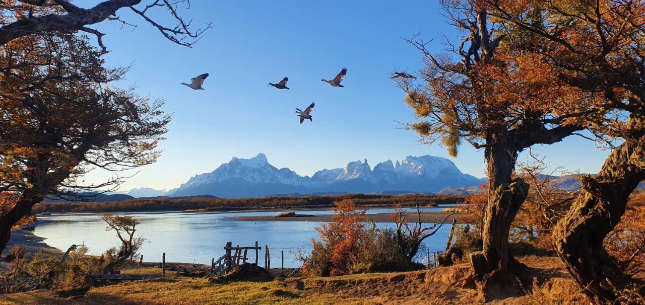 Morrena Lodge Torres del Paine National Park Εξωτερικό φωτογραφία